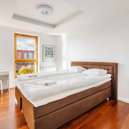 Aura, Sun & Snow * Gdansk